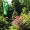 Arboretum Trompenburg in Rotterdam Arboretum Trompenburg in Rotterdam