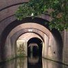 Discover Den Bosch from the Binnendieze canals Discover Den Bosch from the Binnendieze canals