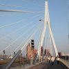 Erasmus bridge in Rotterdam Erasmus bridge in Rotterdam