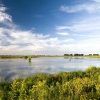 The Haringvliet nature reserve is definitely worth exploring The Haringvliet nature reserve is definitely worth exploring