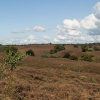 An endless list of things to see and do in the Veluwe An endless list of things to see and do in the Veluwe