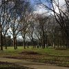 Park Transwijk in Utrecht Park Transwijk in Utrecht