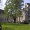 Discover peace and quiet in the Begijnhof in Amsterdam Discover peace and quiet in the Begijnhof in Amsterdam