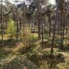 An endless list of things to see and do in the Veluwe An endless list of things to see and do in the Veluwe