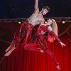 International Christmas Winter Circus Eindhoven International Christmas Winter Circus Eindhoven