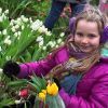 National Tulip Day in Amsterdam National Tulip Day in Amsterdam