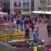 Flower Market Leeuwarden Flower Market Leeuwarden