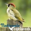National Bird Week in the Netherlands National Bird Week in the Netherlands