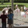 A day out with kids to Aqua Zoo Friesland A day out with kids to Aqua Zoo Friesland
