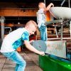 Visit Batavialand for a fun day out Visit Batavialand for a fun day out
