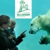 Enjoy Rotterdam Zoo on a day out with your kids Enjoy Rotterdam Zoo on a day out with your kids